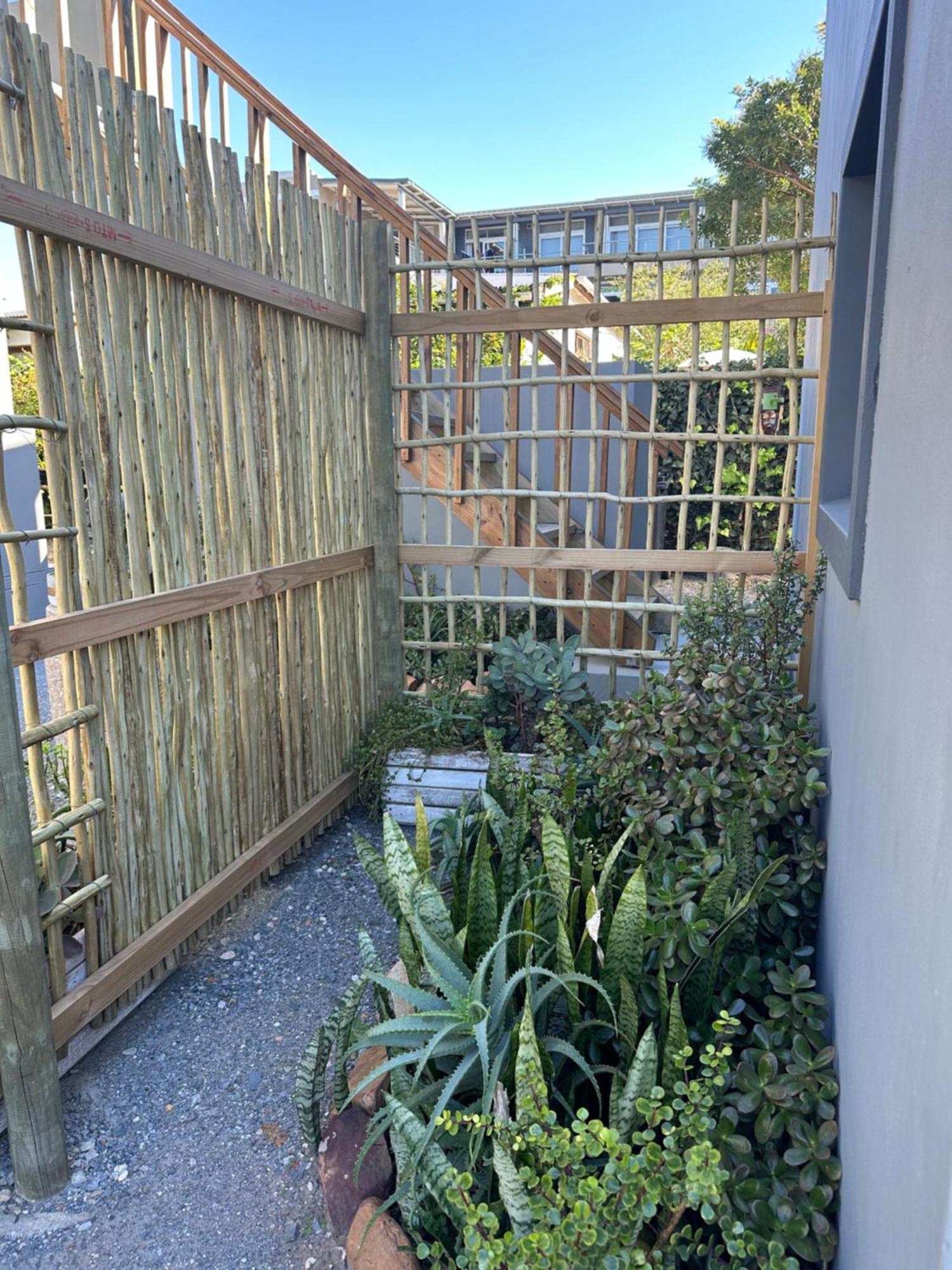 Modern Apartments Downtown プレッテンバーグ・ベイ エクステリア 写真
